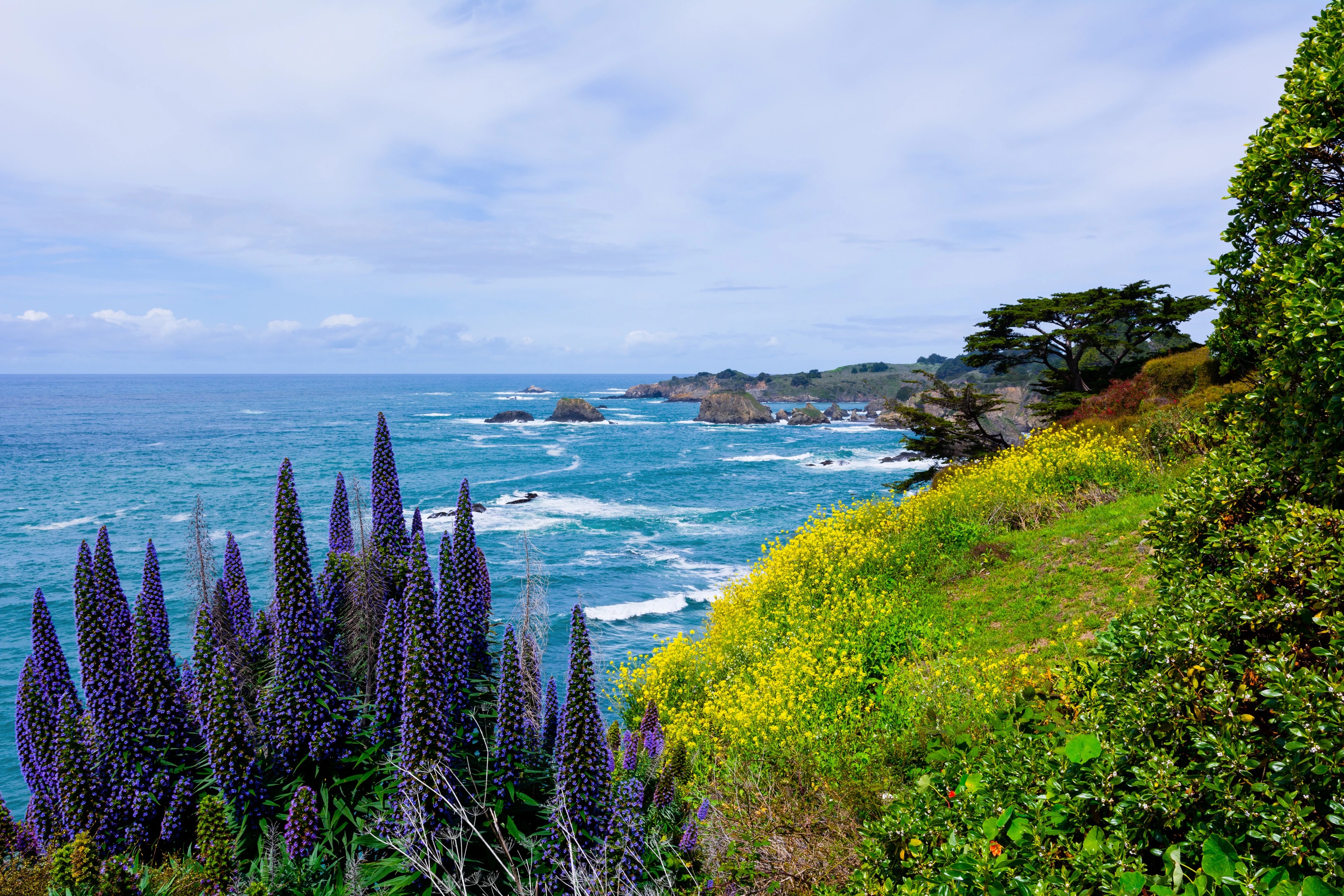 The Mendocino Coast in daylight